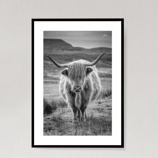 Highland Cow (Greyscale)