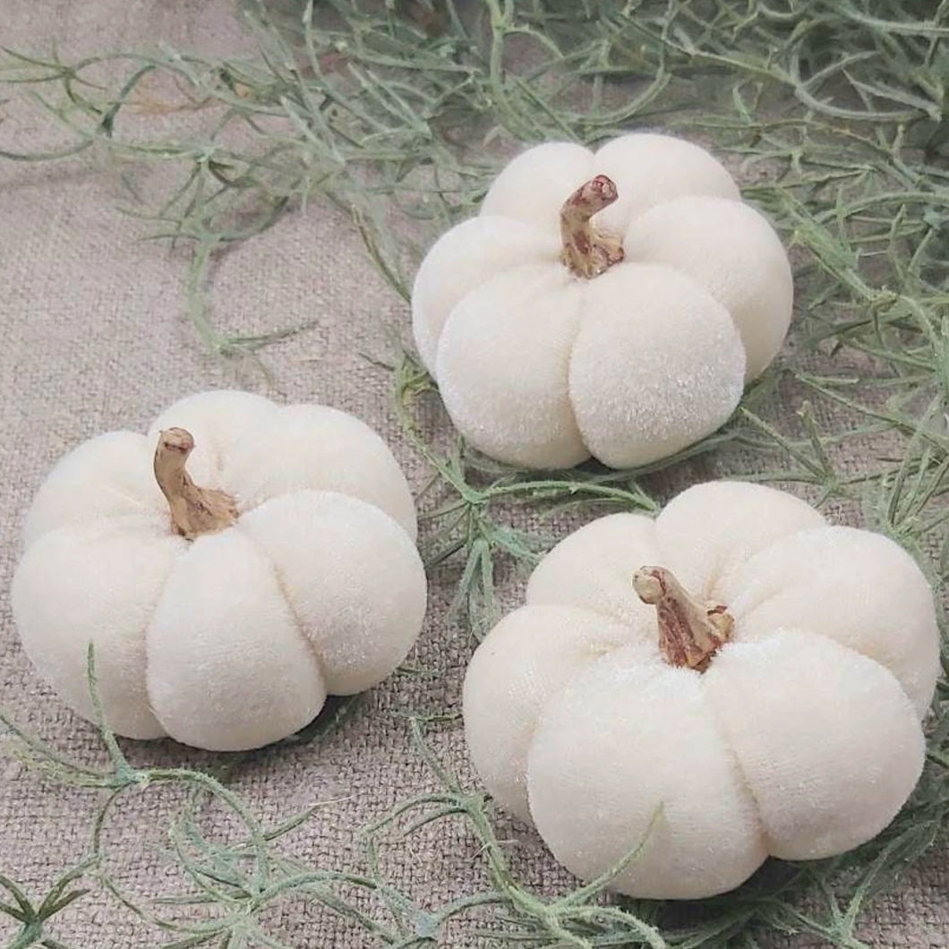 Velvet Pumpkins (Set of 3)