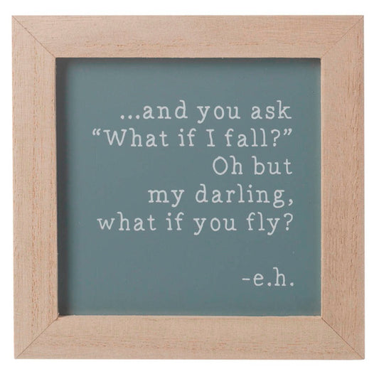 My Darling What If You Fly Frame