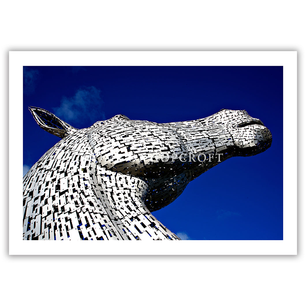 The Kelpies 'Baron' by Heavens Above